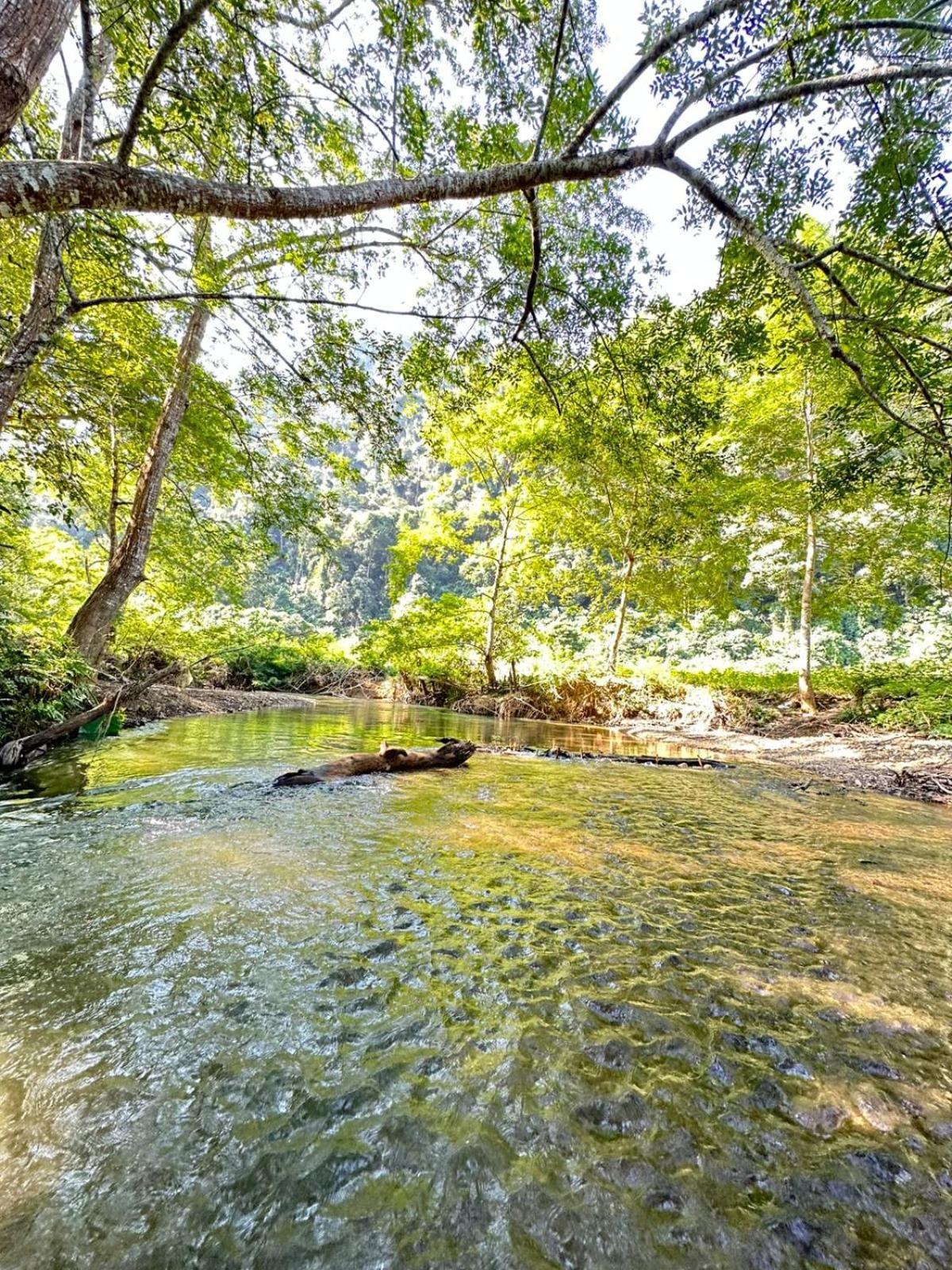 Mingkhuan Eco Homestay Nongkhiaw Kültér fotó